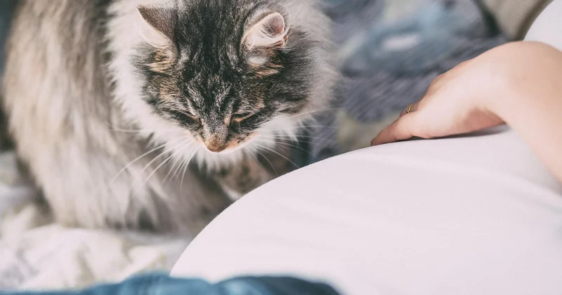 Refus, allergies, réactions : quoi faire, vraiment