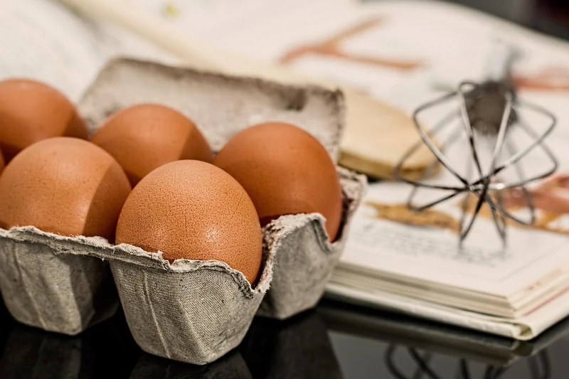 Recettes nutritives qui plaisent à toute la famille